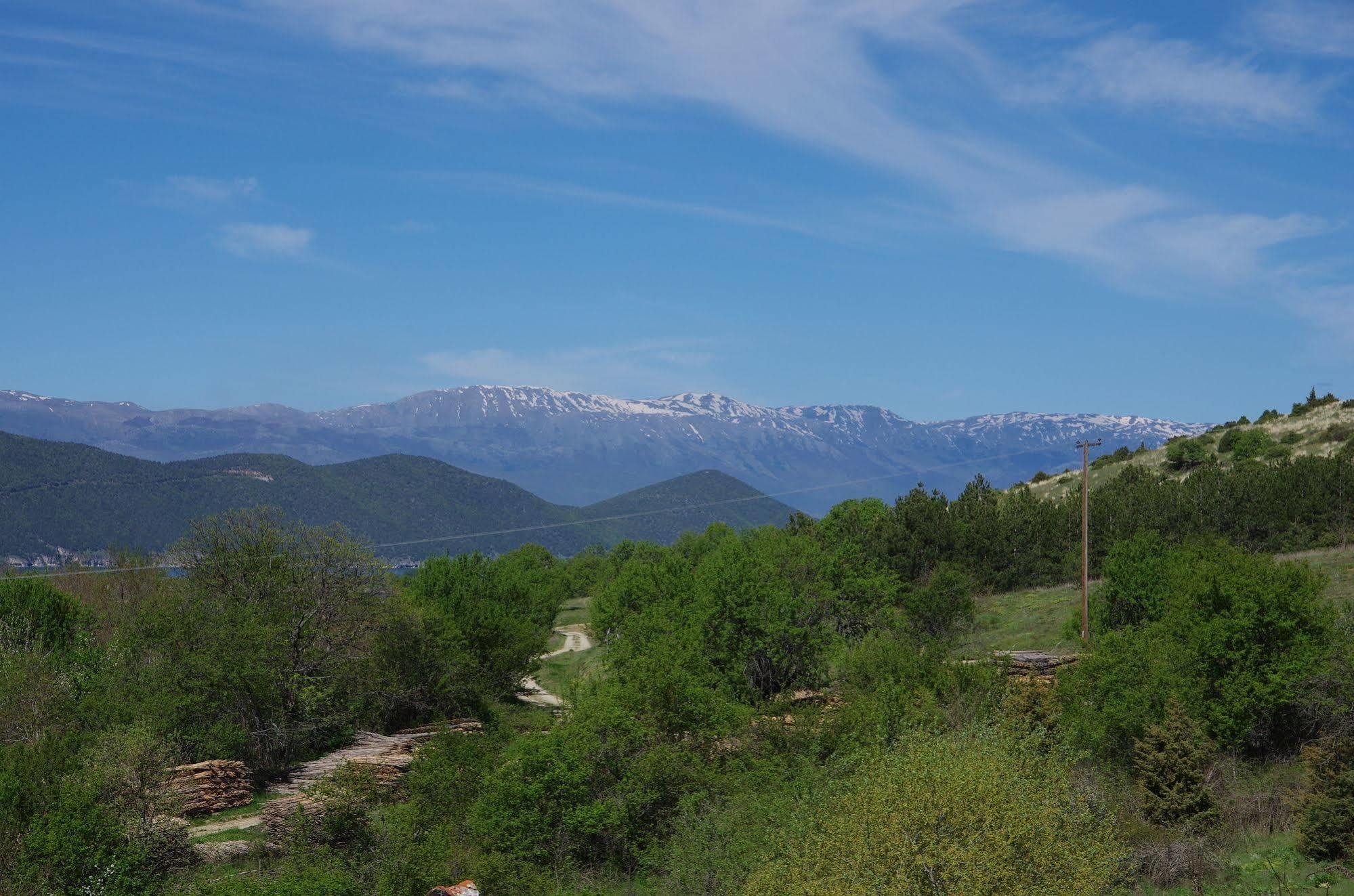 Prespa Resort & Spa Platy  Dış mekan fotoğraf