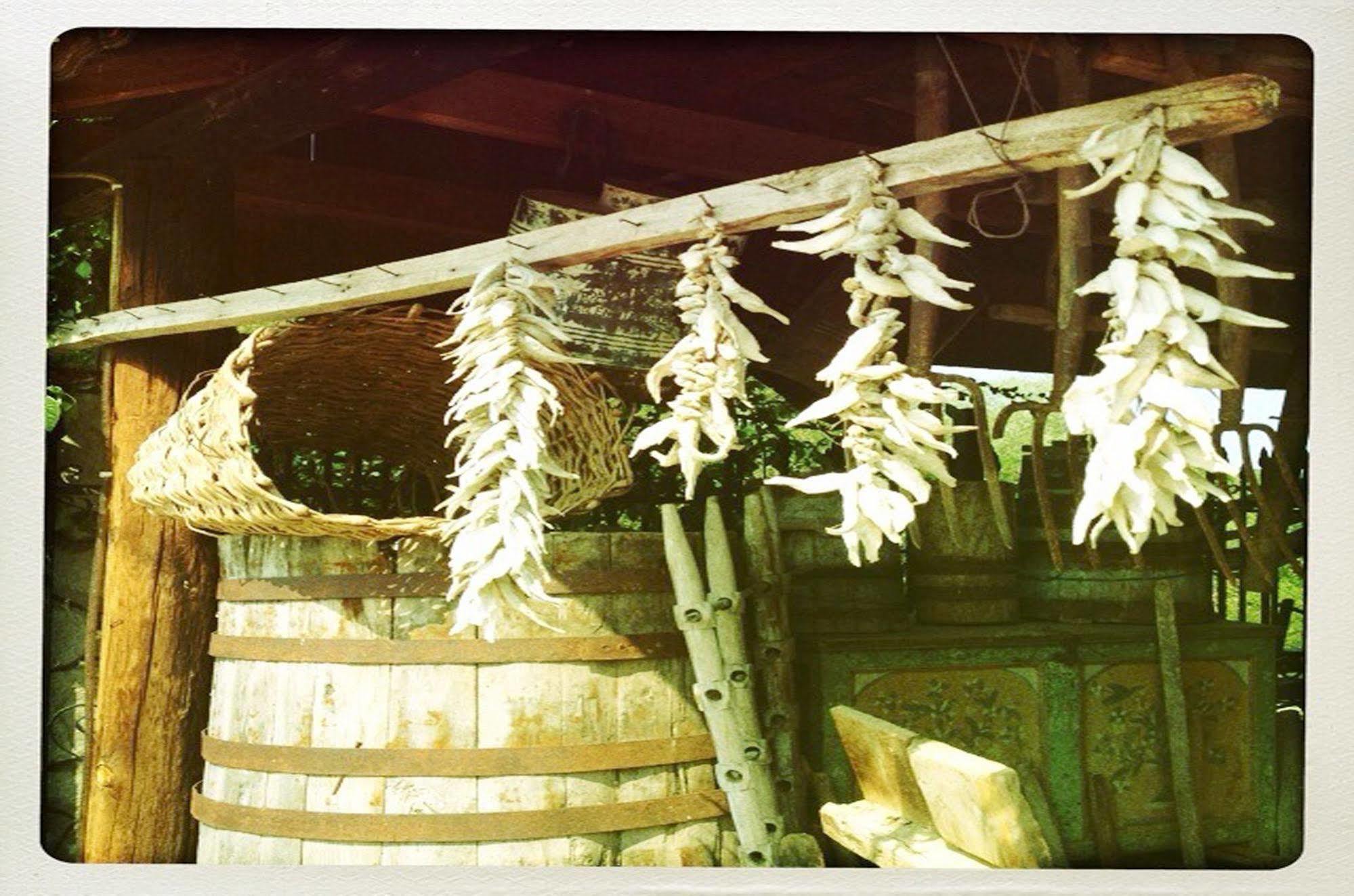 Prespa Resort & Spa Platy  Dış mekan fotoğraf
