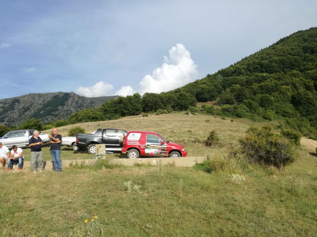 Prespa Resort & Spa Platy  Dış mekan fotoğraf