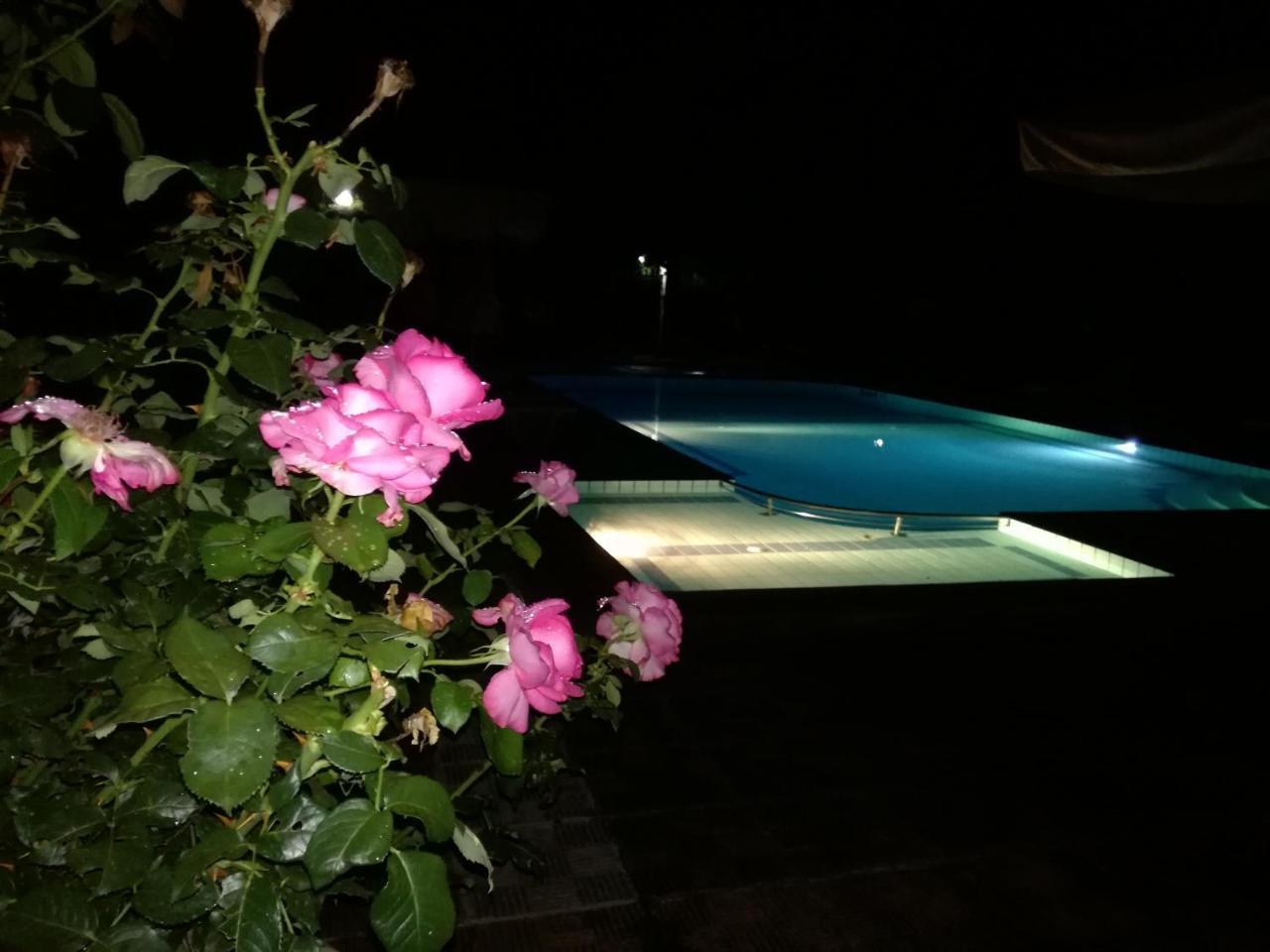 Prespa Resort & Spa Platy  Dış mekan fotoğraf